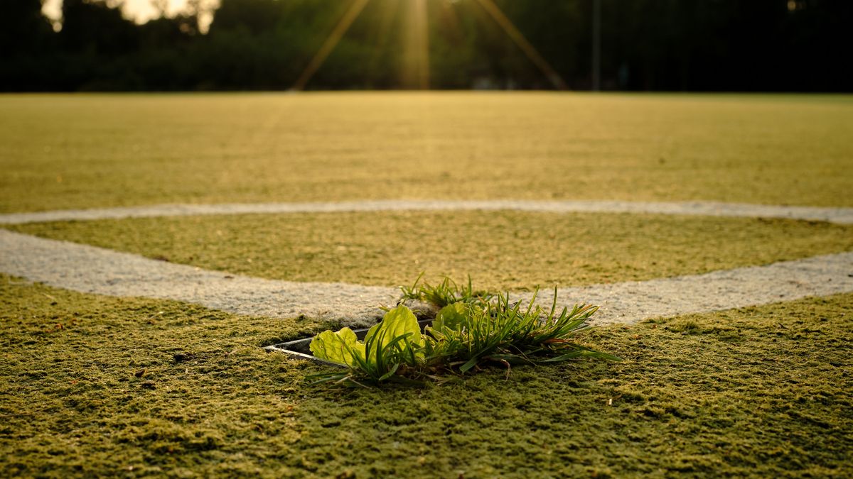 Chaussettes grip pour le foot : ce qu&rsquo;elles changent vraiment sur le terrain
